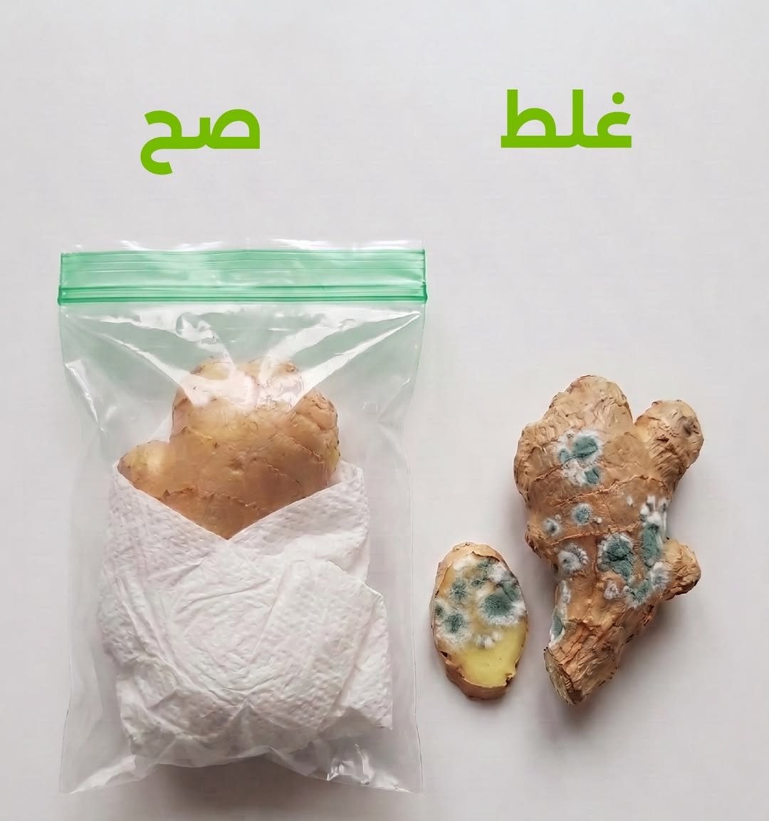 أول صفحة من الكاروسيل: الزنجبيل بكيس مع منديل (صح) مقابل زنجبيل متعفن (غلط)